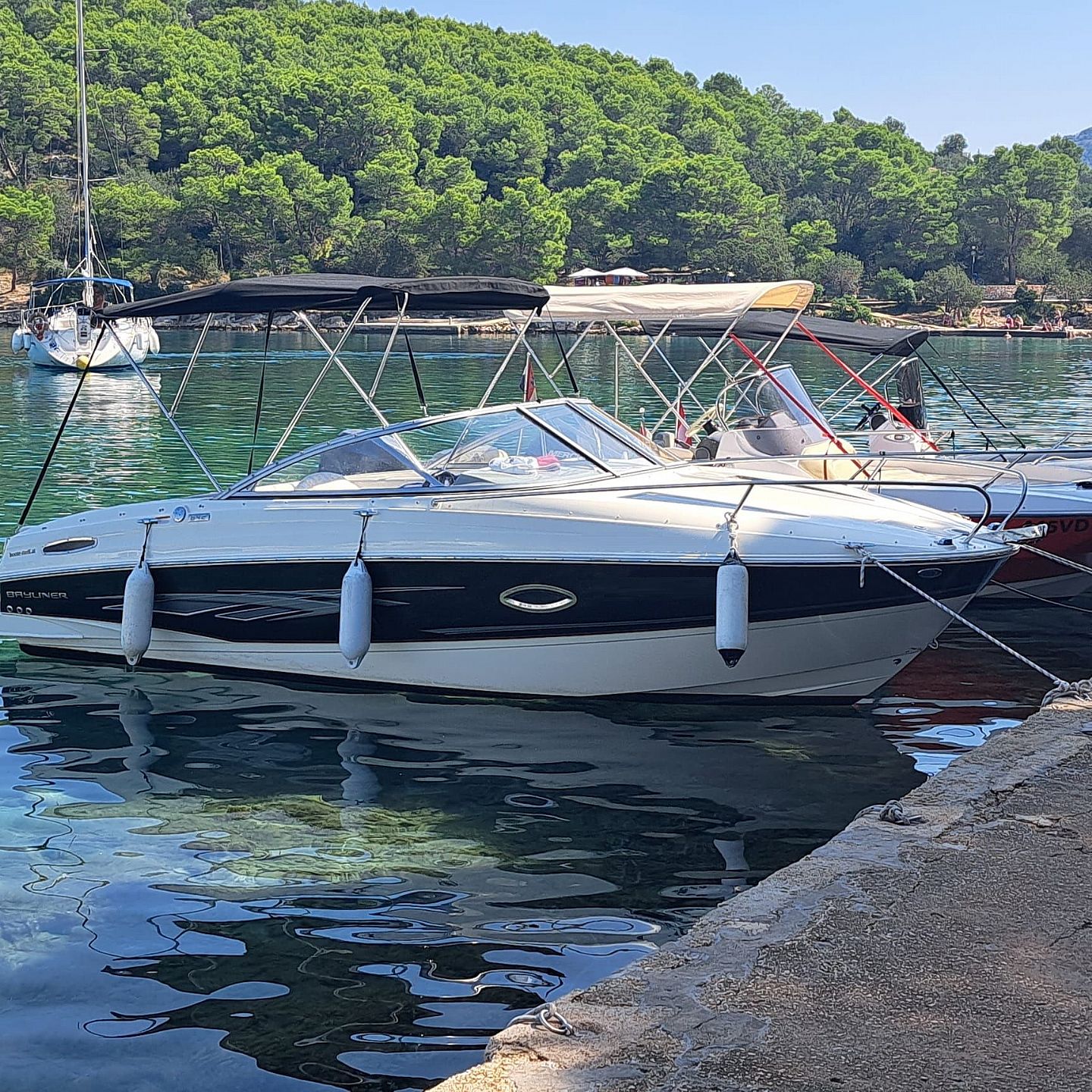 Bayliner Cuddy Europe2013 for sale: 43000.-EUR