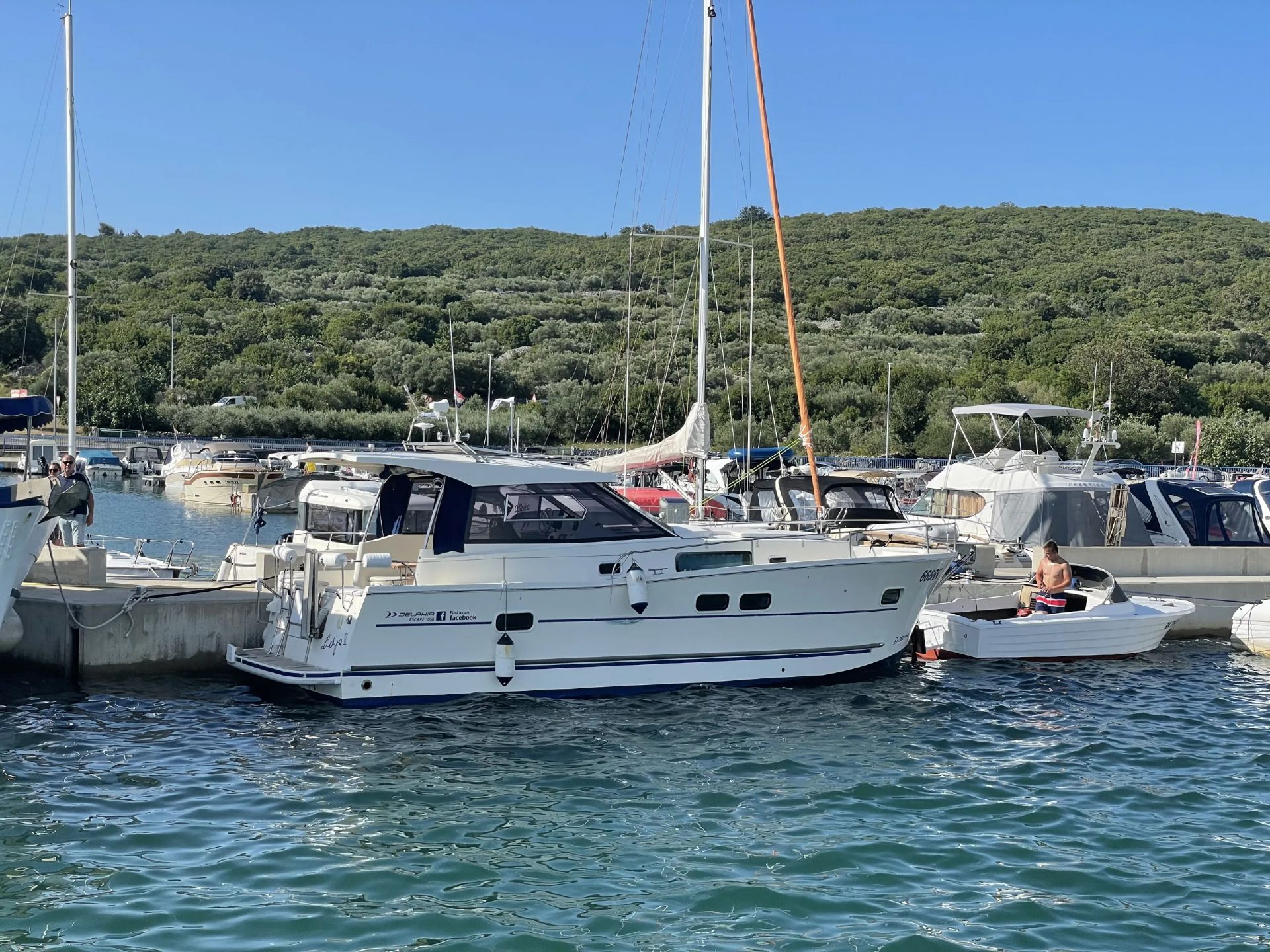 Delphia ESCAPE - 2014 - for sale: 108000.-EUR