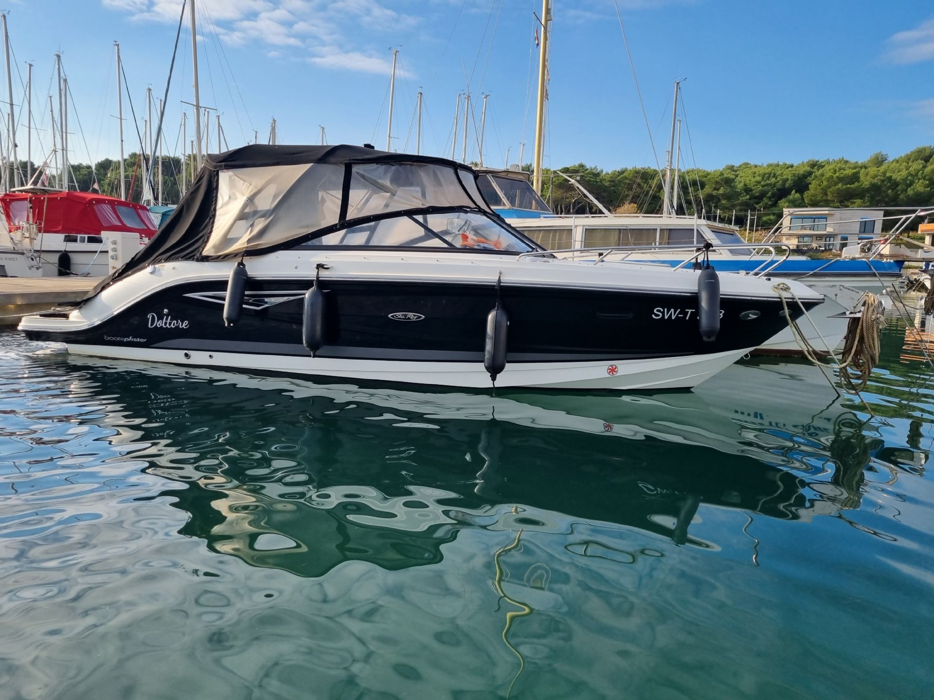 Sea Ray 250 SSE - 2020