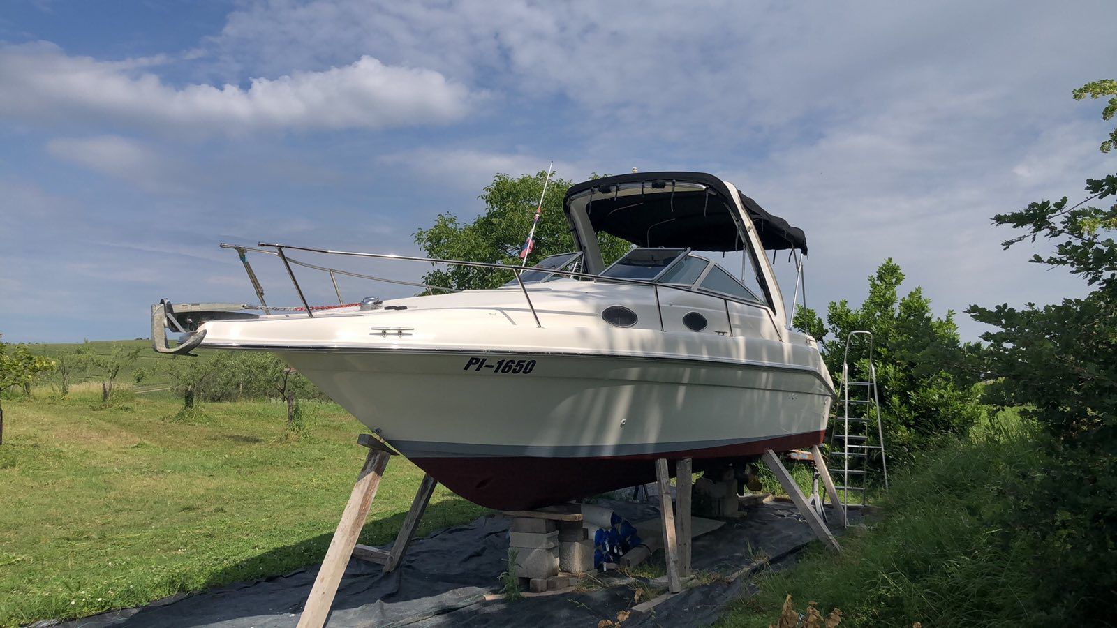 Sea Ray 250 sundancer - 1995