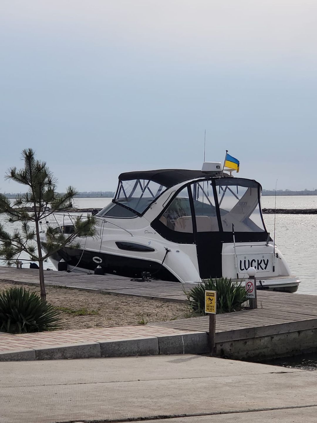 Bayliner 3005 Ciera - 2003
