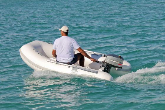Tiger Marine Tender 260 - 2025