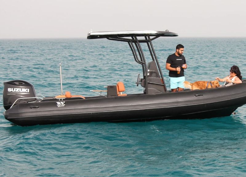 Tiger Marine PRO LINE 620 PL - 2025