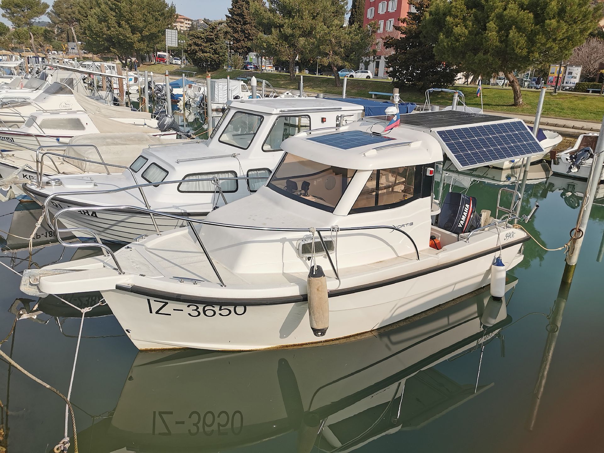 Fortis 590C - 2024