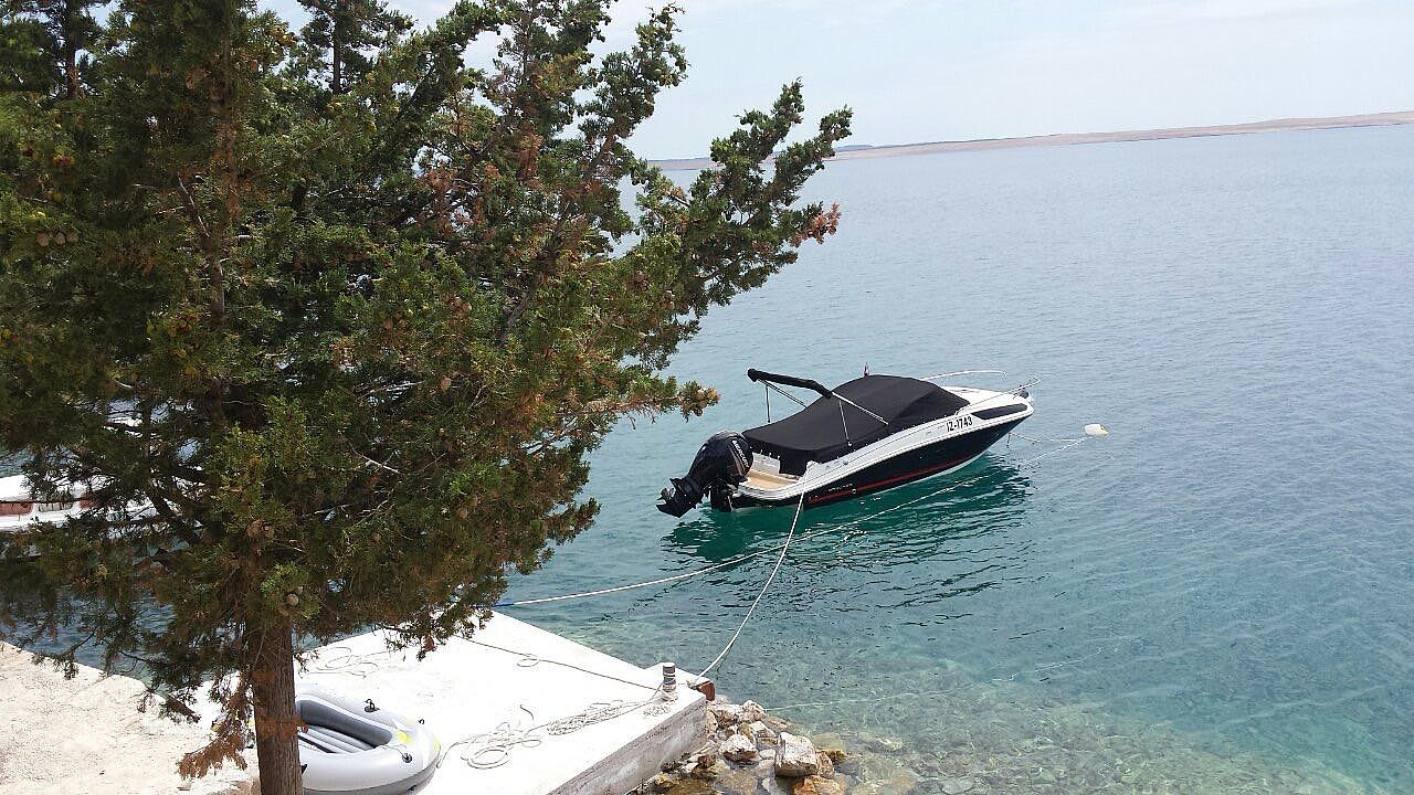 Bayliner Vr5 Cuddy - 2017