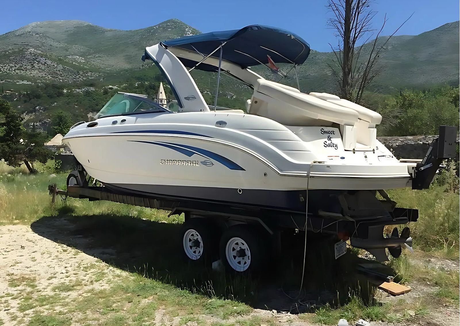 Chaparral 256 SSI - 2008