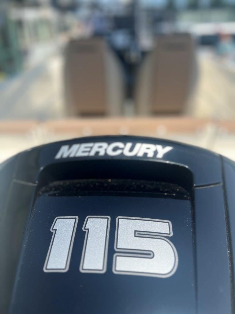 Quicksilver 555 Open   Mercury F... - 2025 - for sale: 36300.-EUR