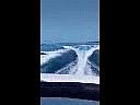 Crownline 266 LTD - 2005