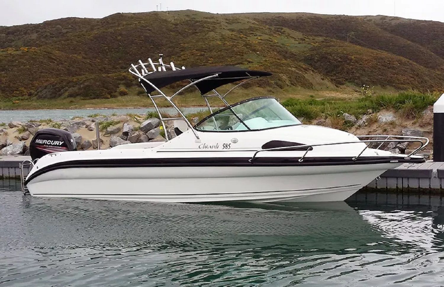 Shine 585SC - 2025