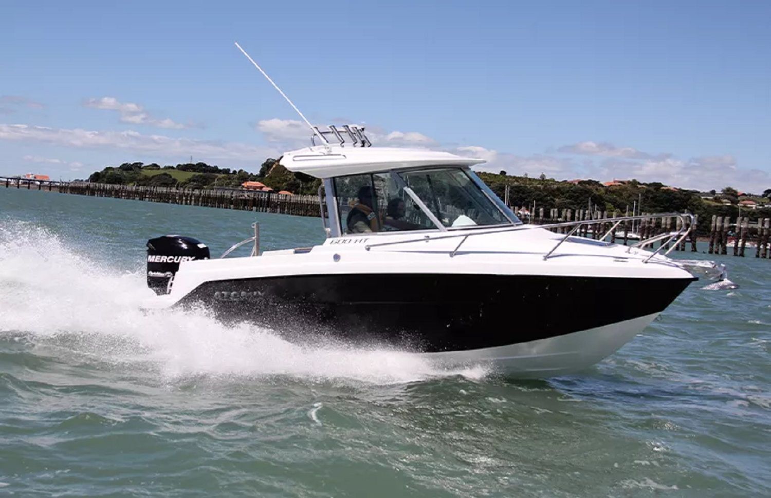 Shine 600HT - 2025
