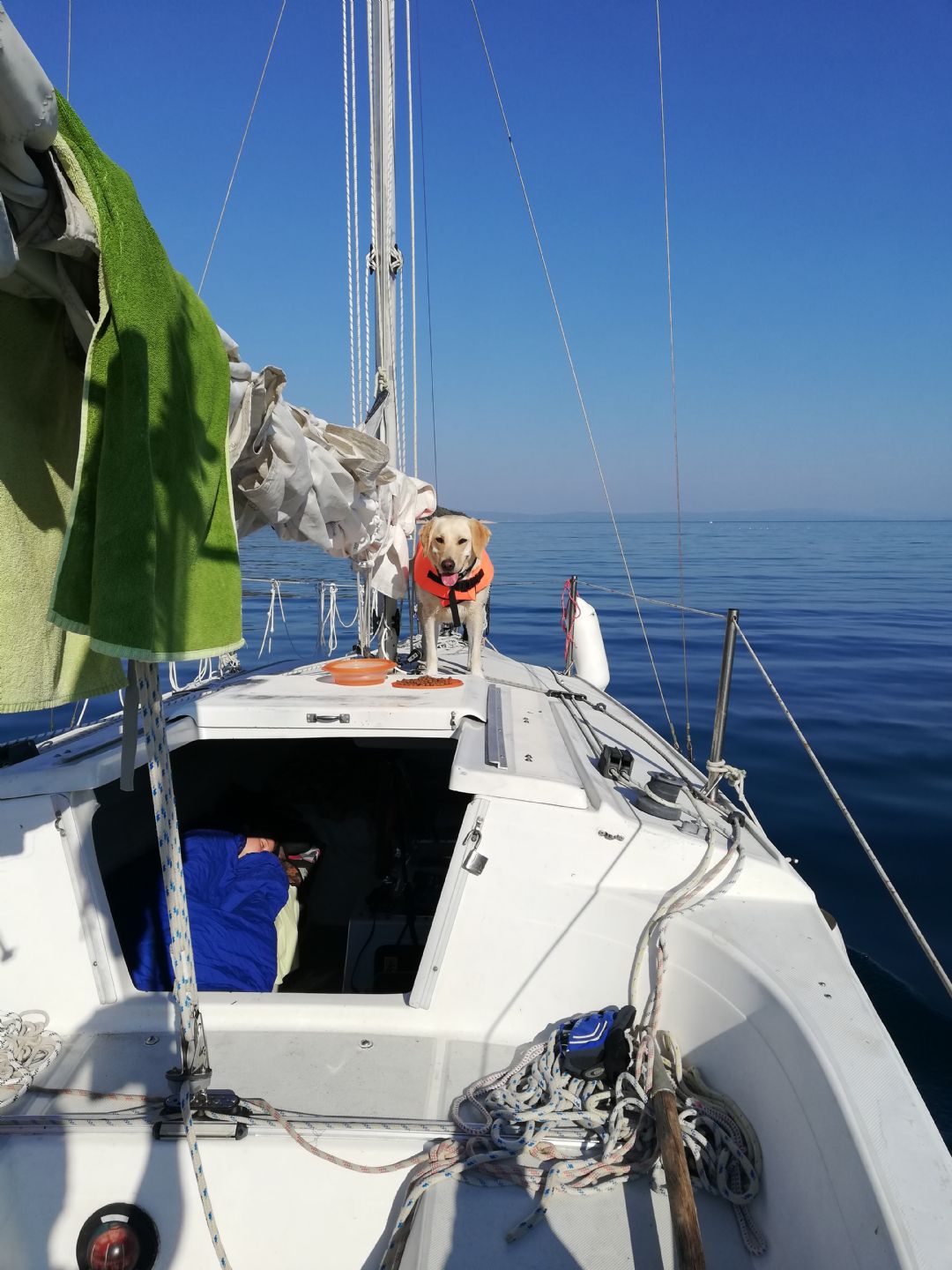 MacGregor 26s - 1991 - for sale: 6500.-EUR