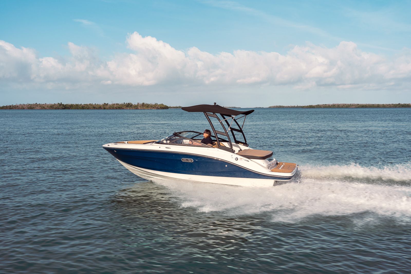 Sea Ray 190 SPX - 2025