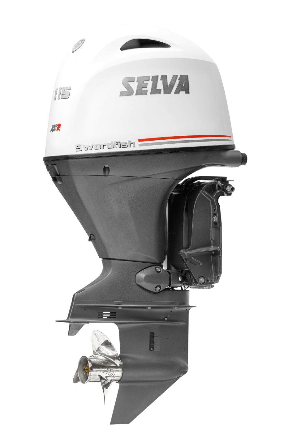 Selva