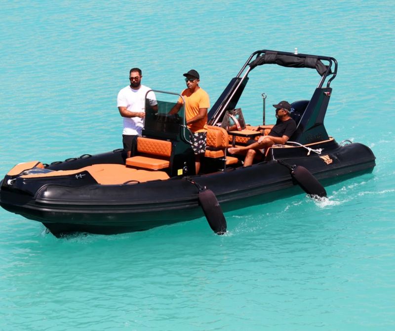 Tiger Marine TOP LINE 650 TL - 2026