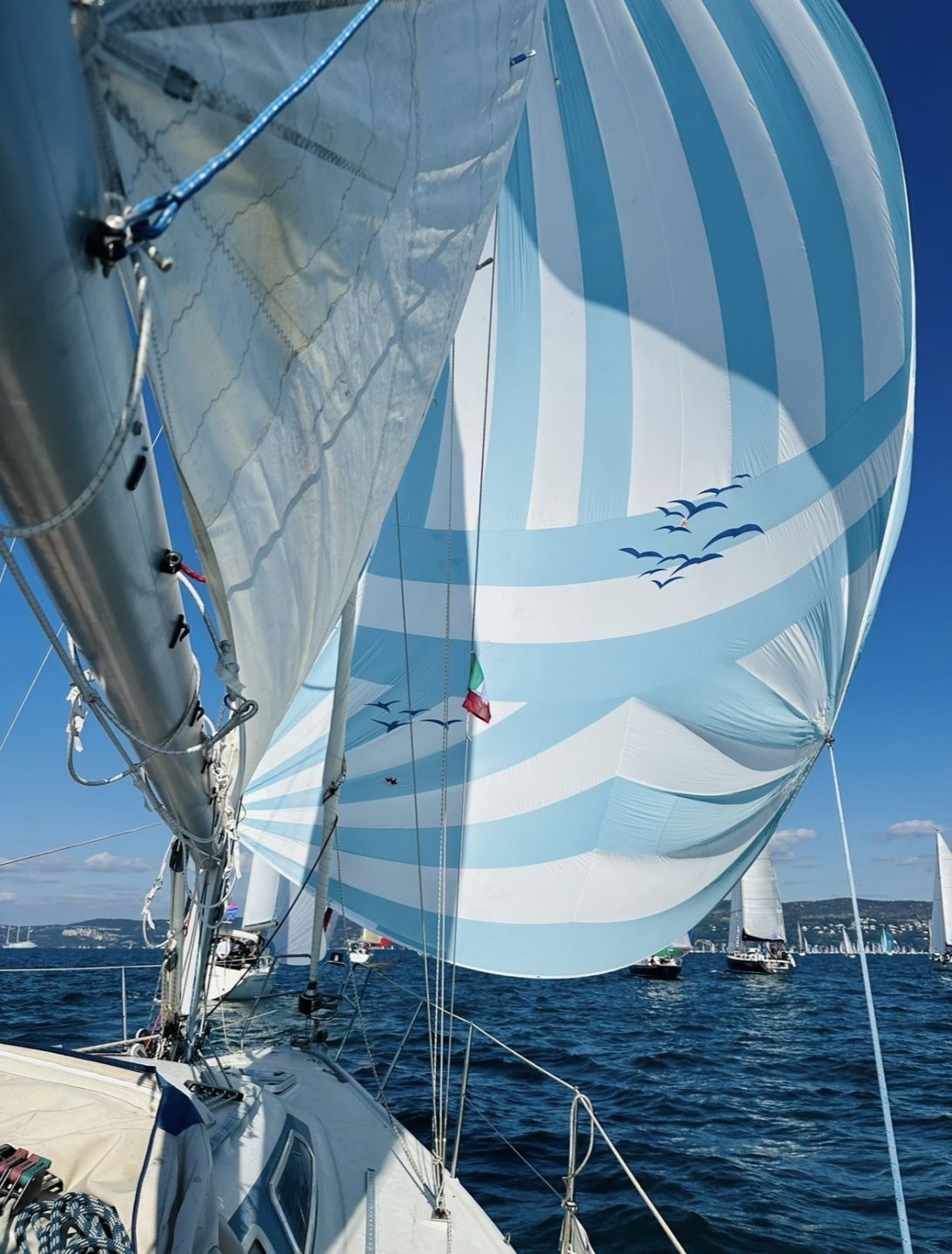 Dehler 34  Optima 107 - 1987 - for sale: 16000.-EUR