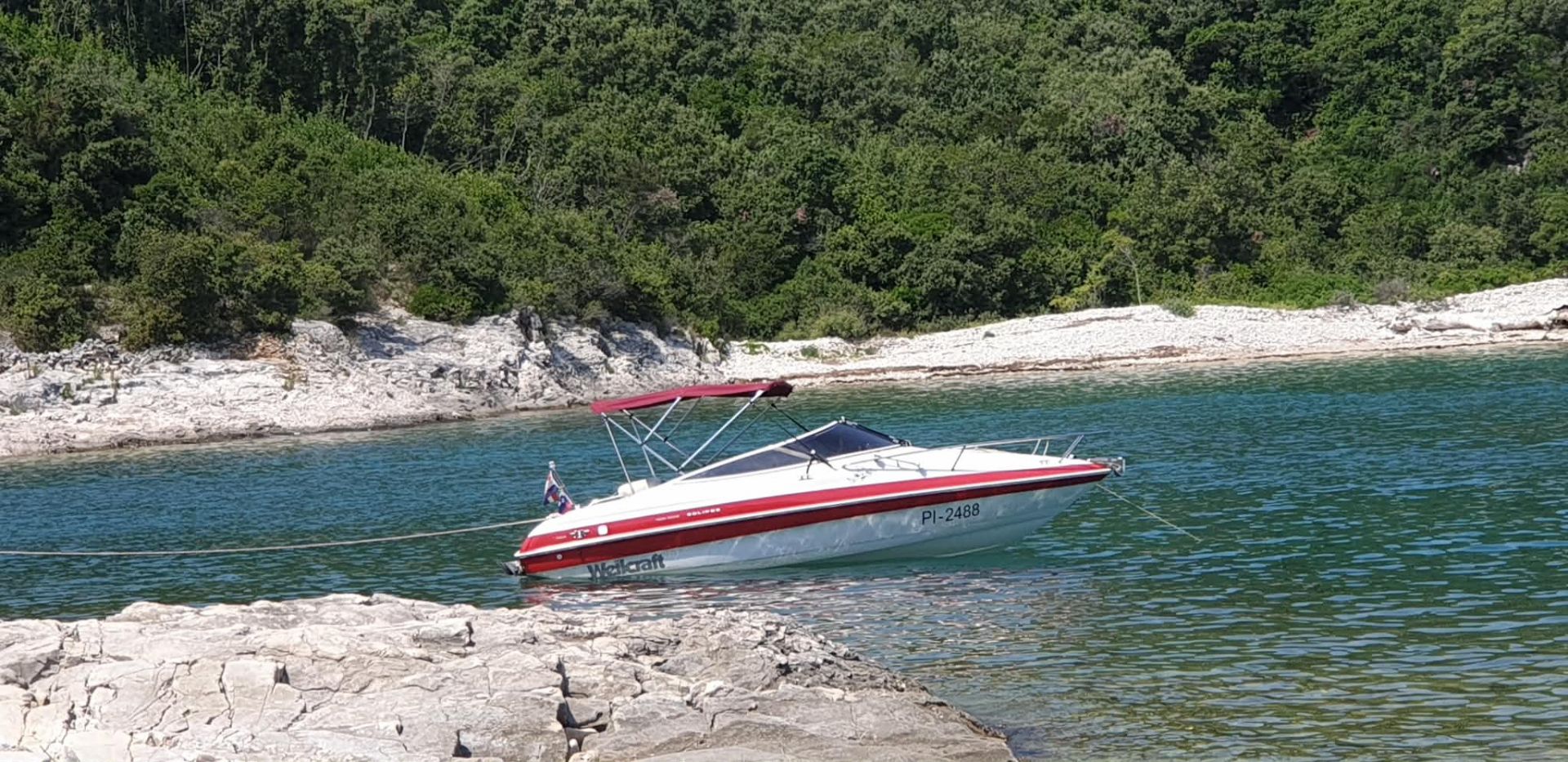 Wellcraft Eclipse 196SCS - 1994 - for sale: 15000.-EUR