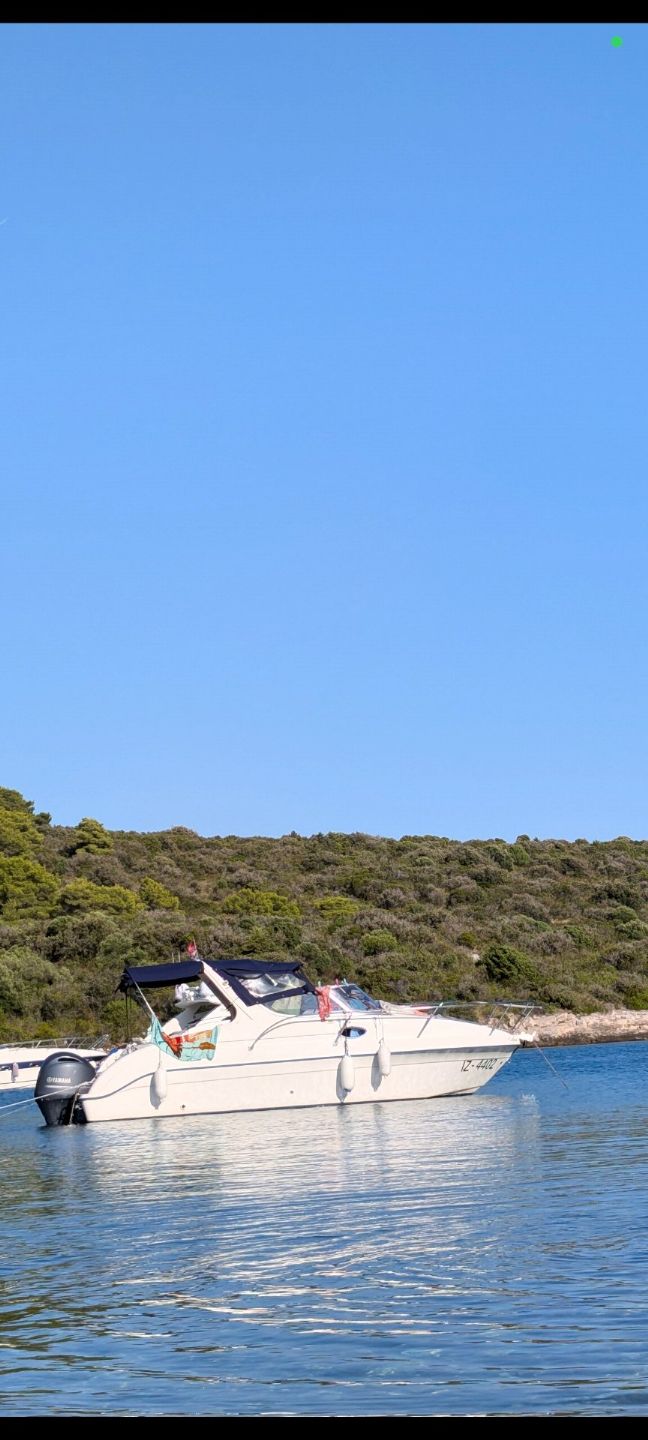 Saver 650 Cabin  Yamaha 15... - 2005 - for sale: 26950.-EUR