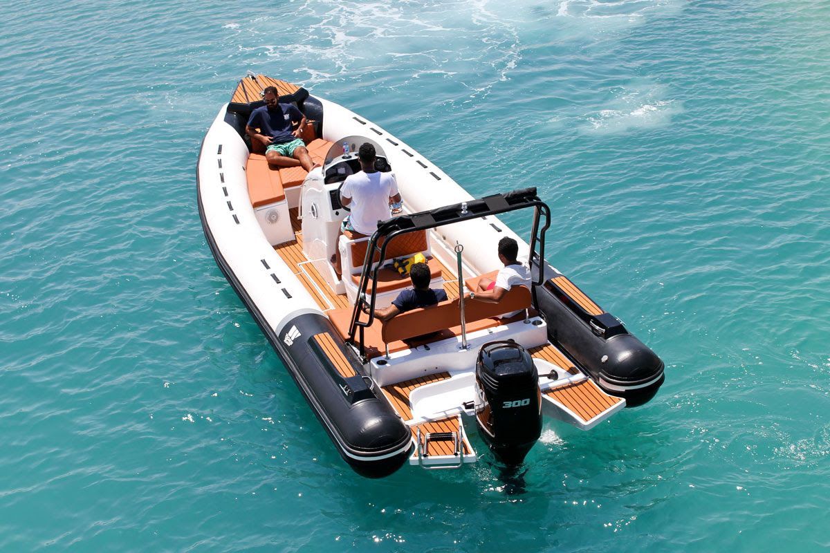 Tiger Marine Open 850 - NOVO 2026 - 2026 - for sale: 40500.-EUR