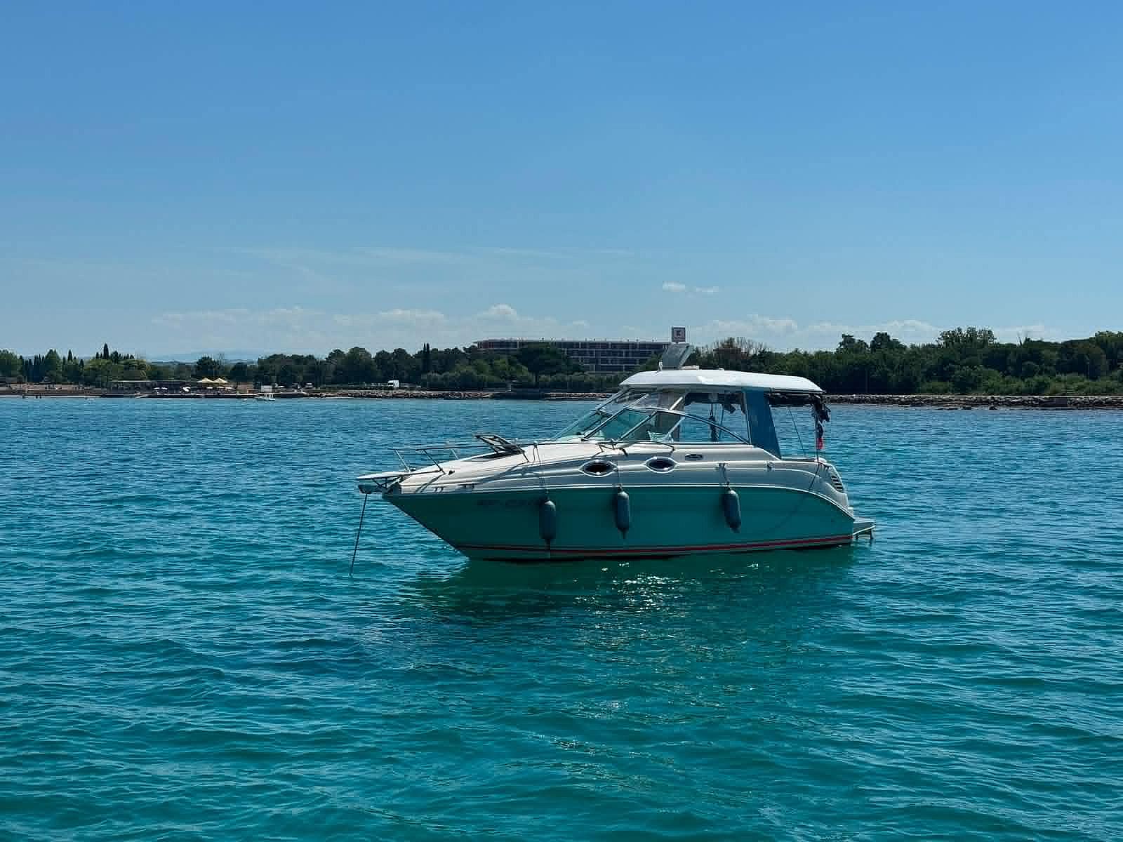 Sea Ray Sundancer 240 - 2003