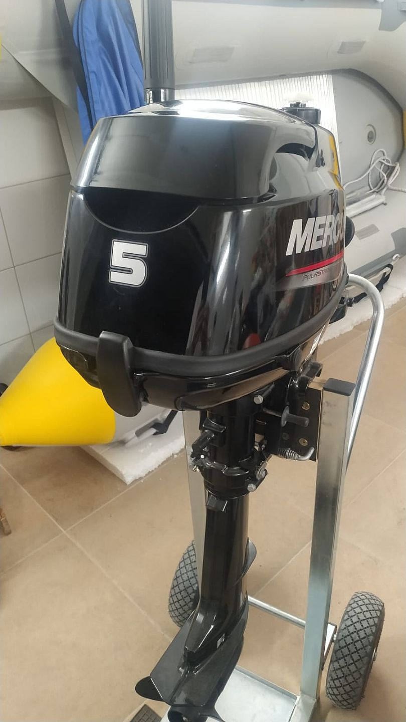 Viamare 330 ALU dno   motor Mercury F5   dod. oprema - 2024