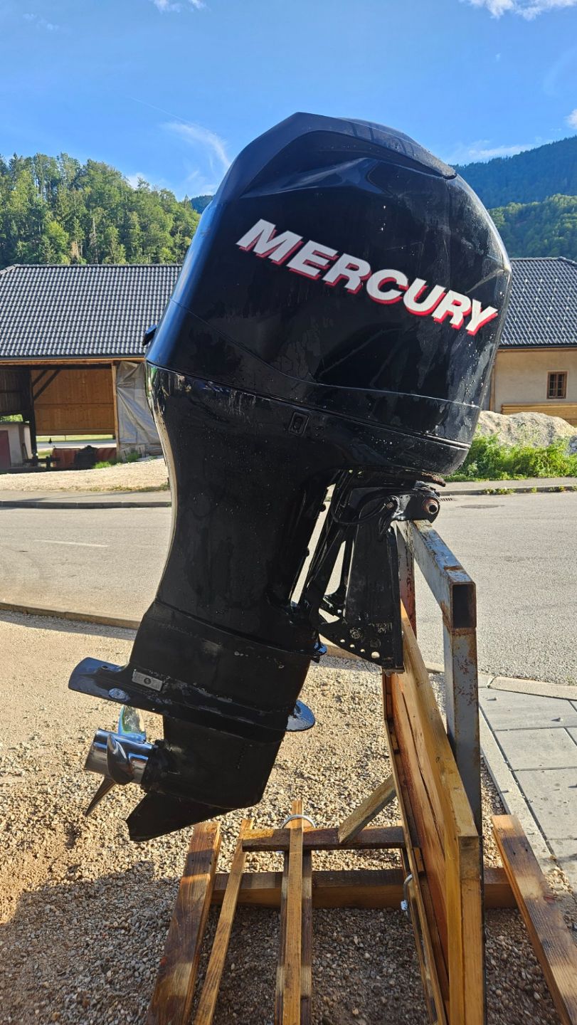 Mercury 115 EXLP - 2014