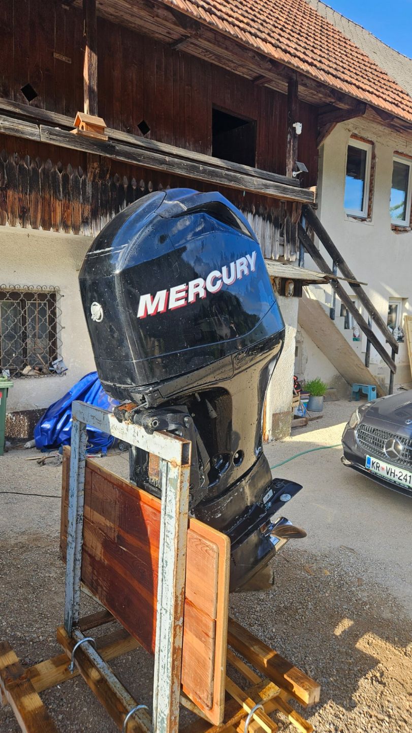 Mercury 115 EXLP - 2014