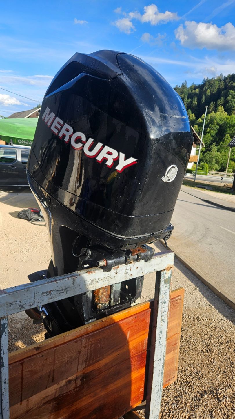 Mercury 115 EXLP - 2014