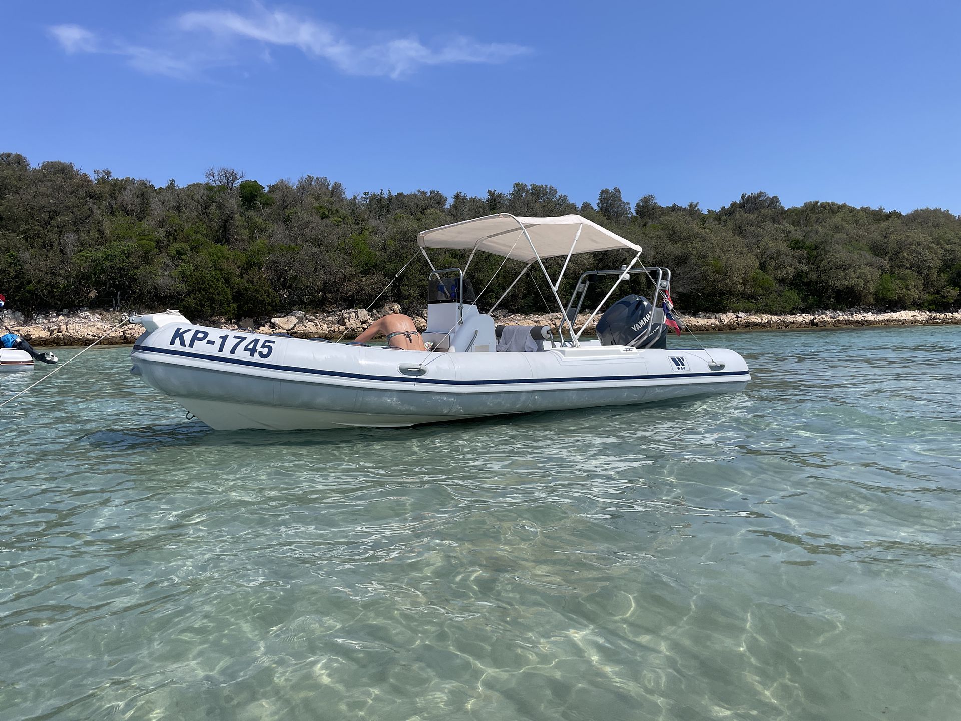 Tiger Marine Industries WAV 600 Proline - 2007