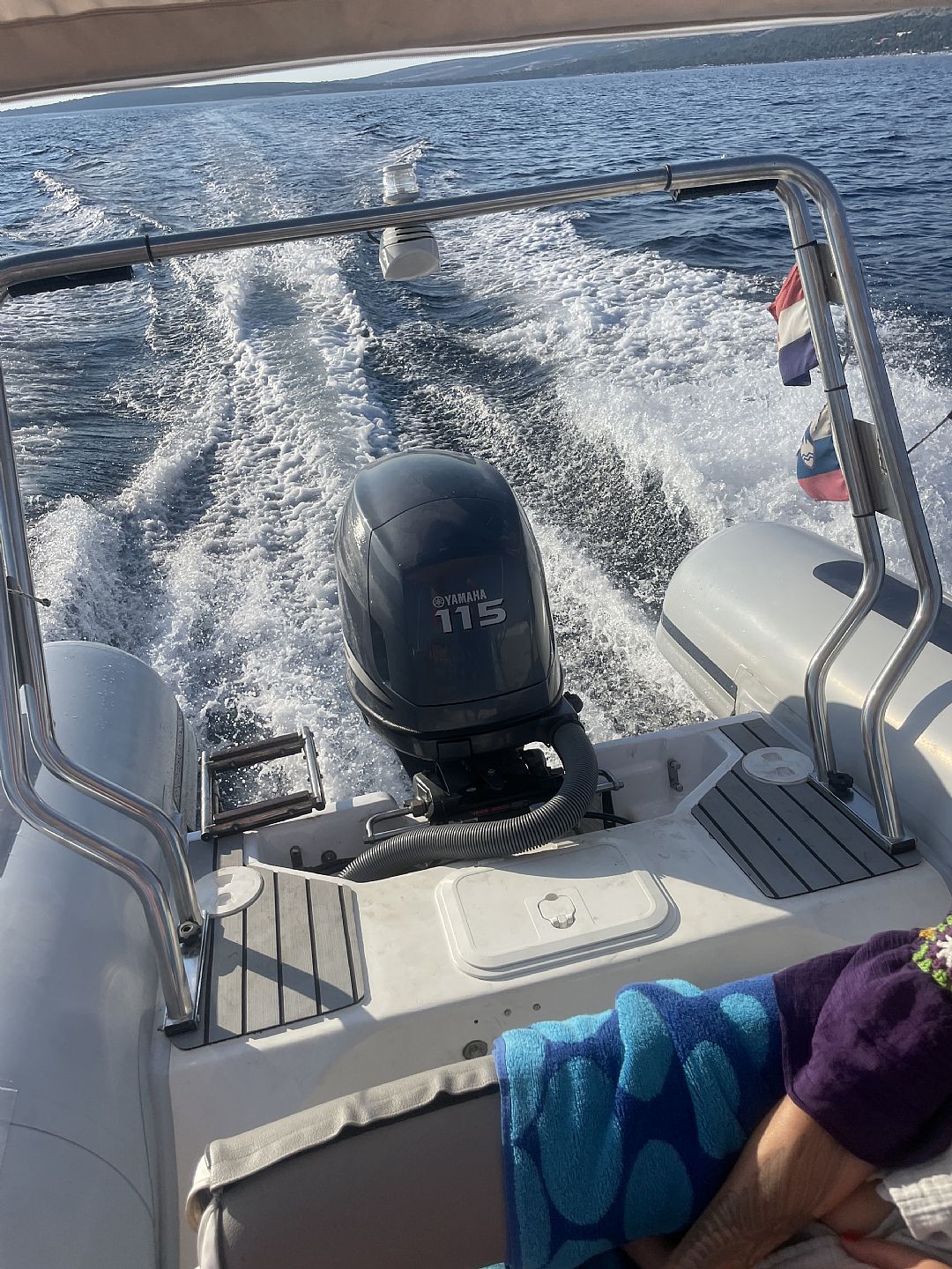 Tiger Marine Industries WAV 600 Proline - 2007