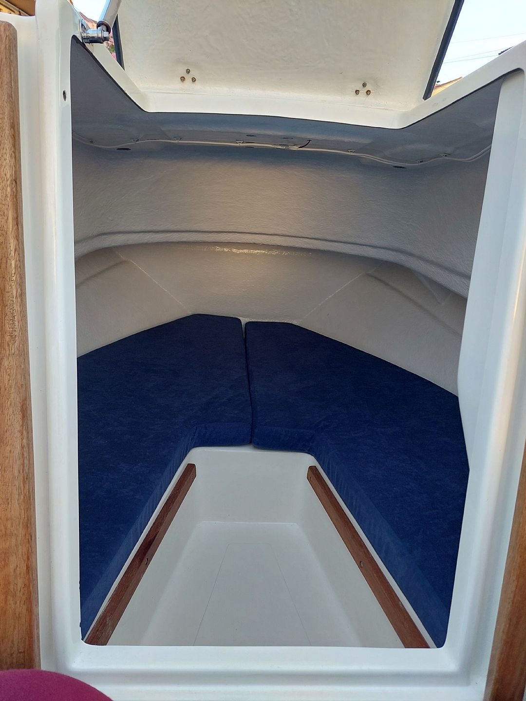 Betina 500 - 2019 - for sale: 17500.-EUR