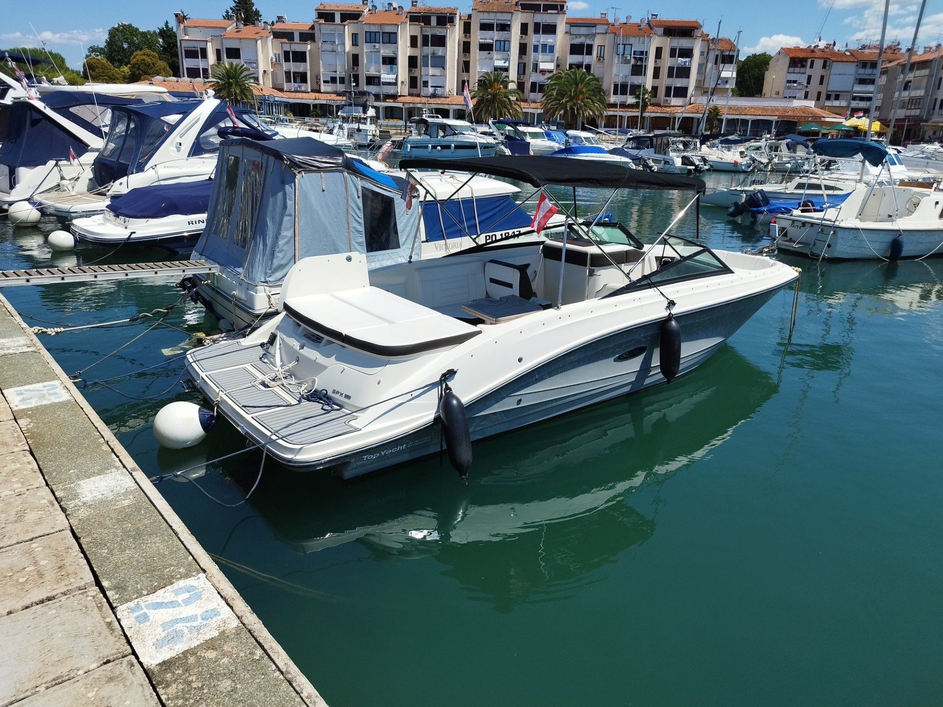 Sea Ray SPX 230 - 2018