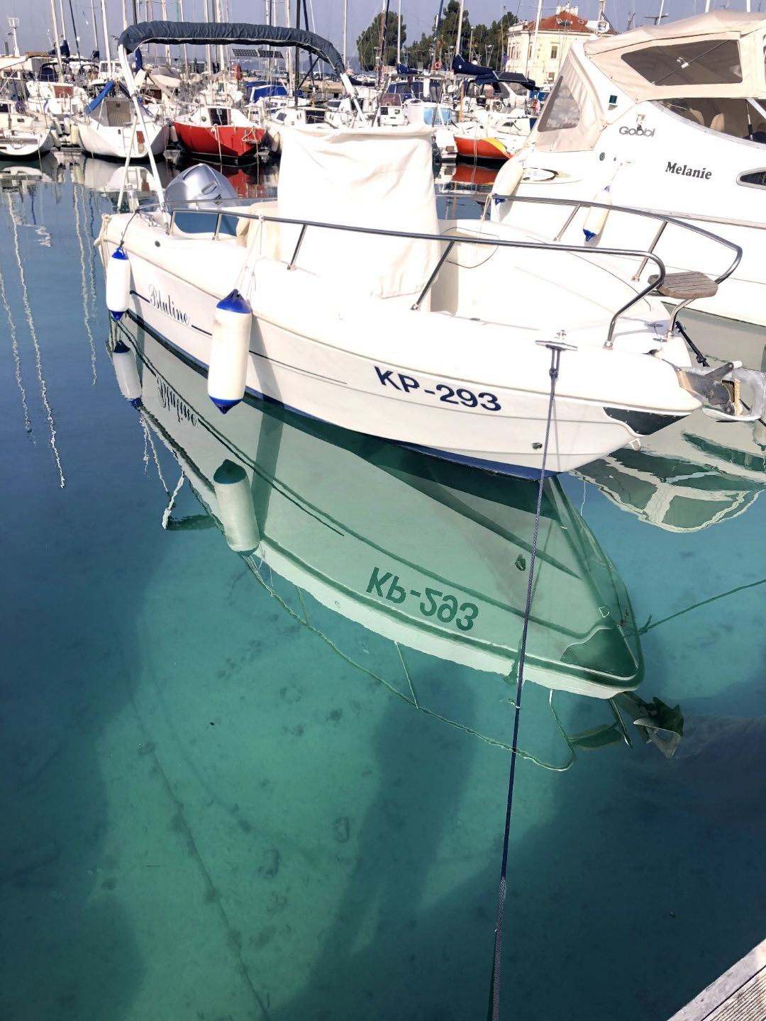 Bluline Open 21,5 - 2014 - for sale: 19500.-EUR